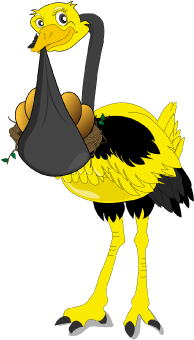 emu-with-eggs